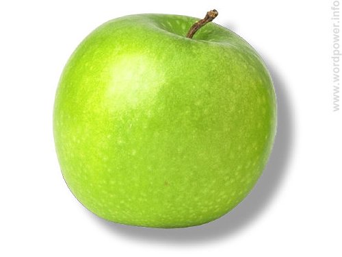 A photo quality image of an apple