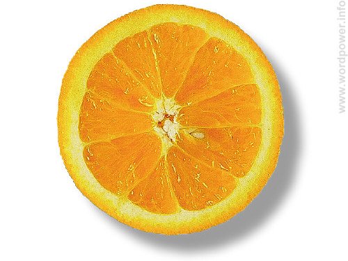 A photo quality image of an orange